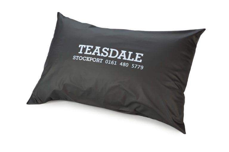 CAT3-083-Pillow